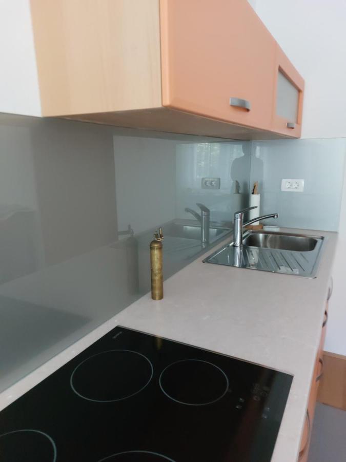 Apartma Sava-Stol Jesenice Buitenkant foto