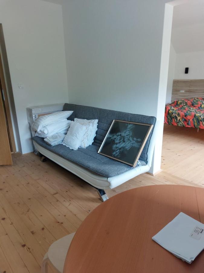 Apartma Sava-Stol Jesenice Buitenkant foto